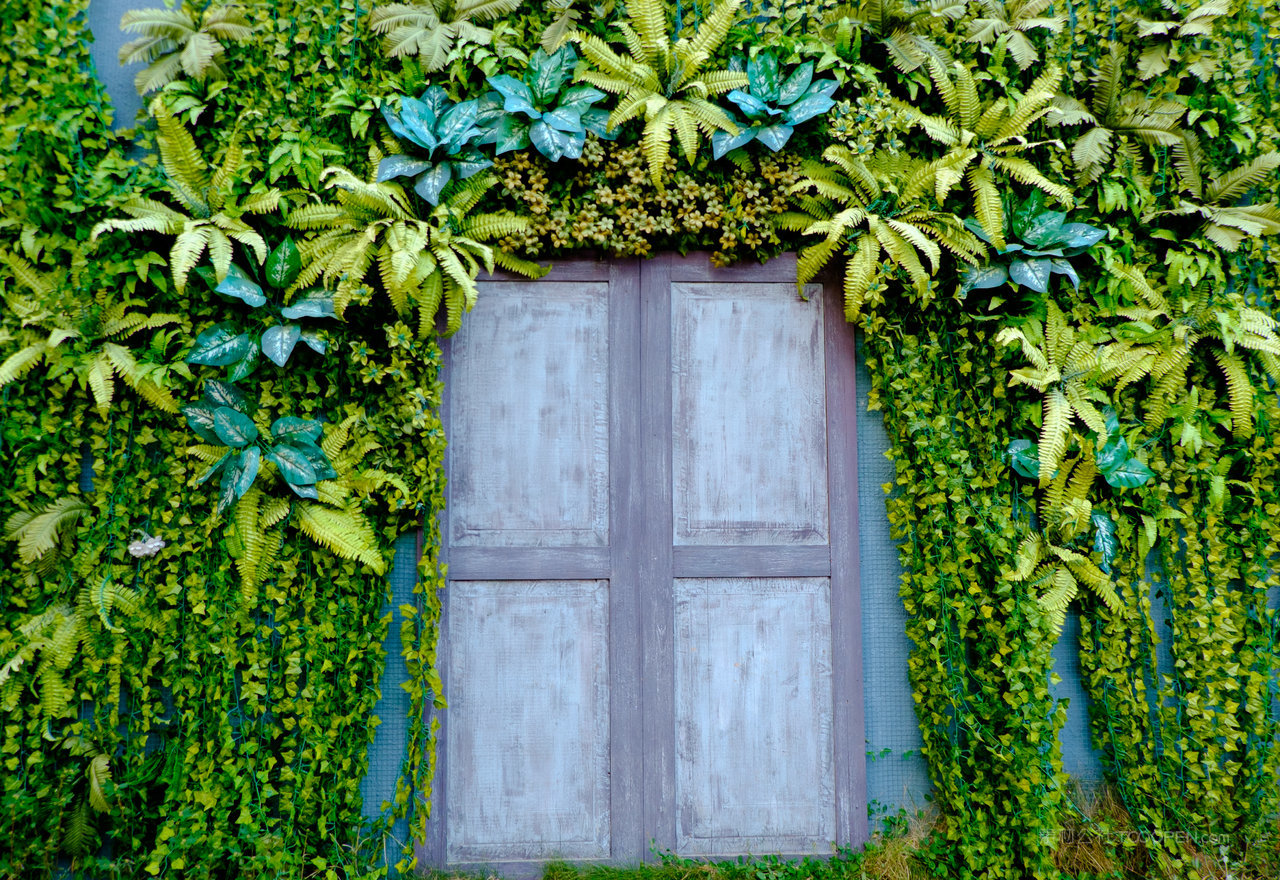 厦门观音山民宿外的窗户