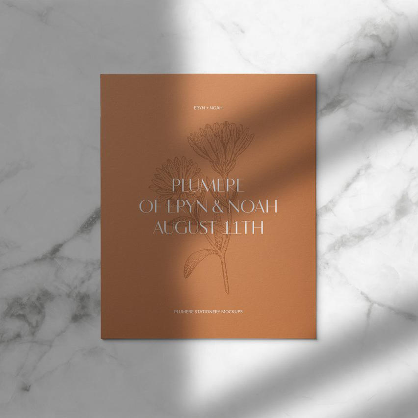 光影宣传单文艺海报展示场景样机 (6)