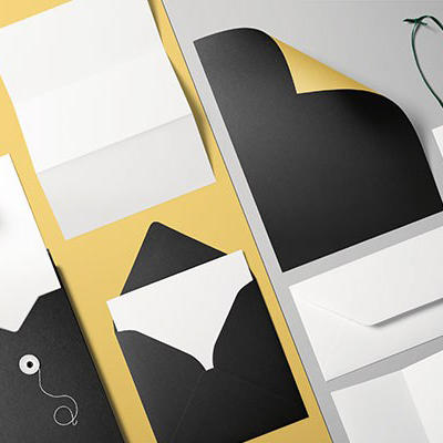 双色商务办公样机