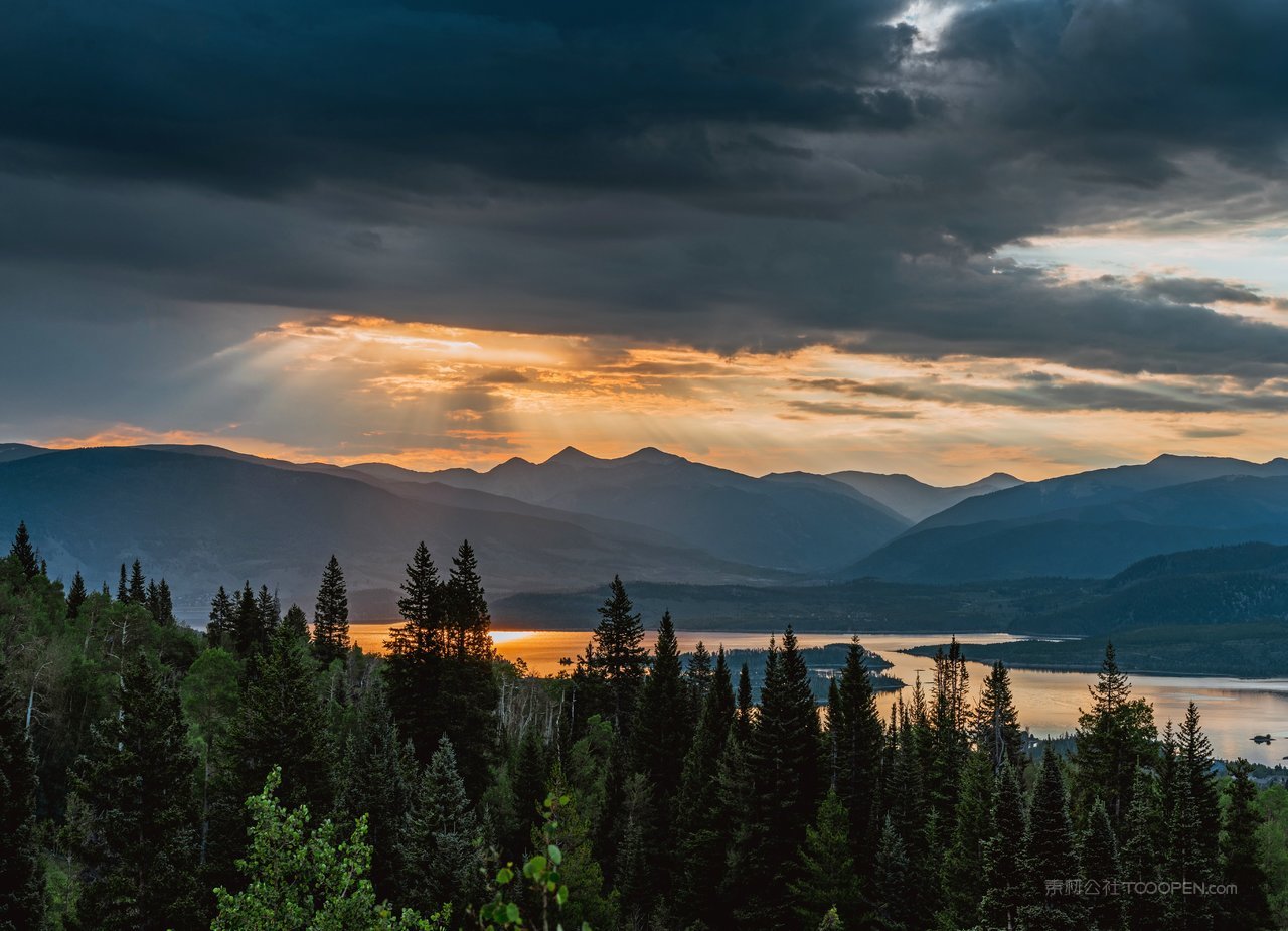 松树枝高清风景画图片