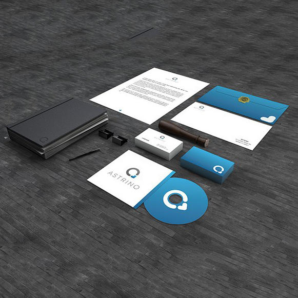 简约大气VI样机