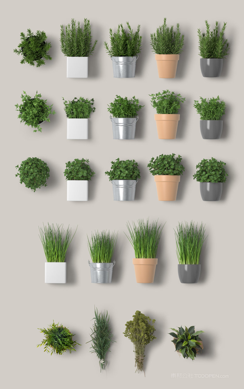 绿色清新小绿植样机psd