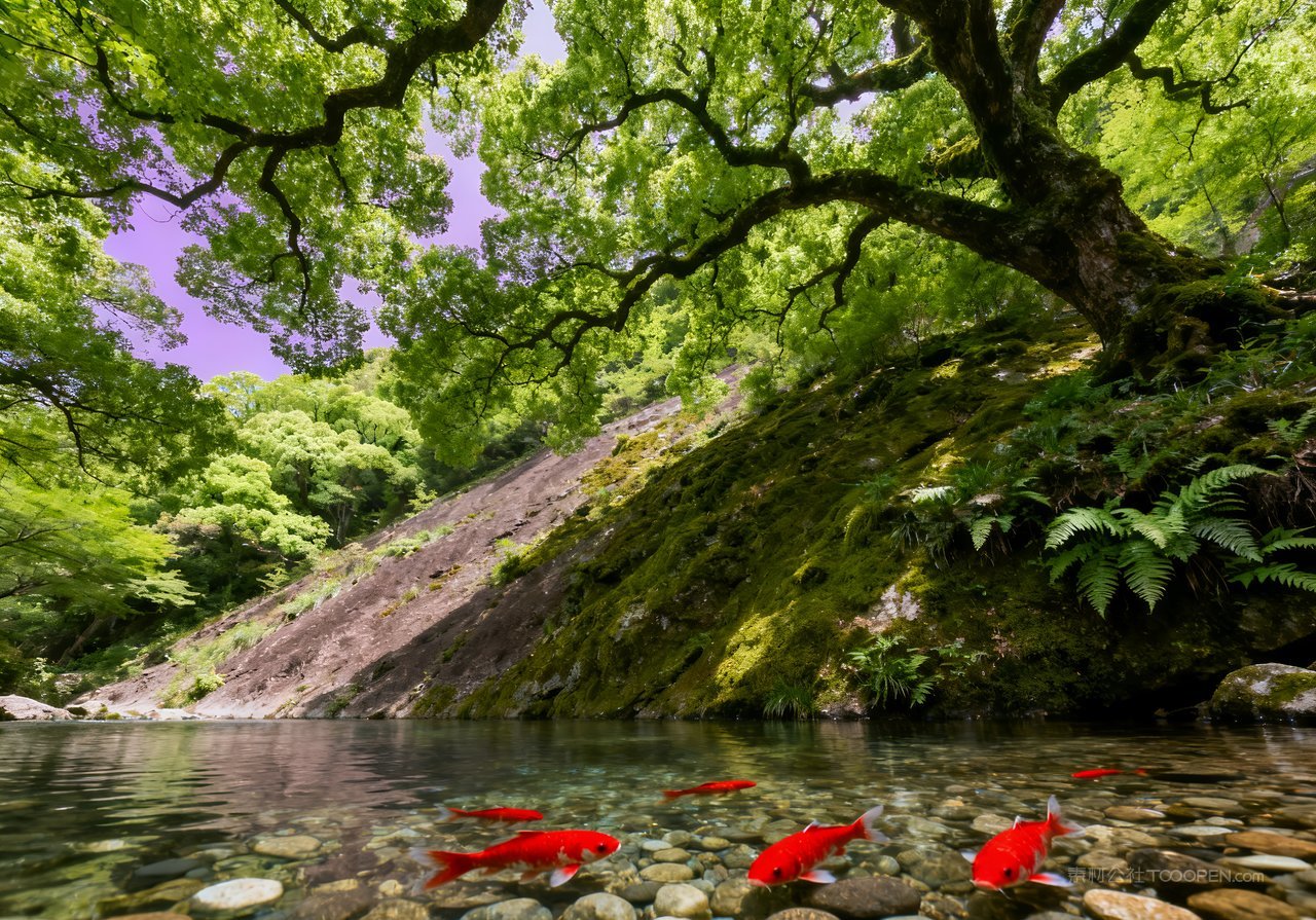 河流山水唯美山峰春季天空风景意境