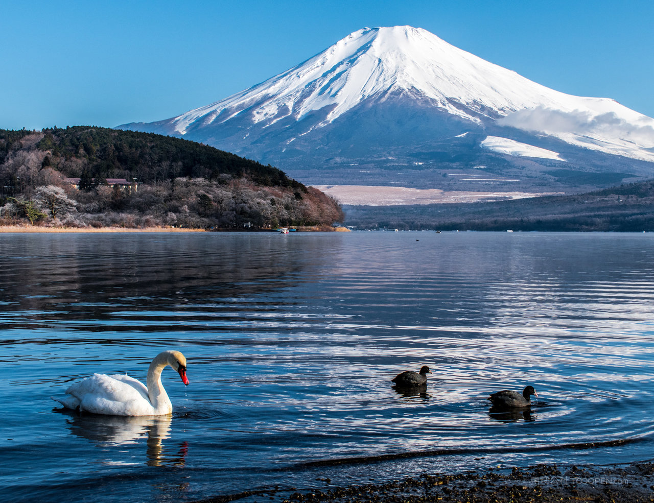 雪山风景画图片