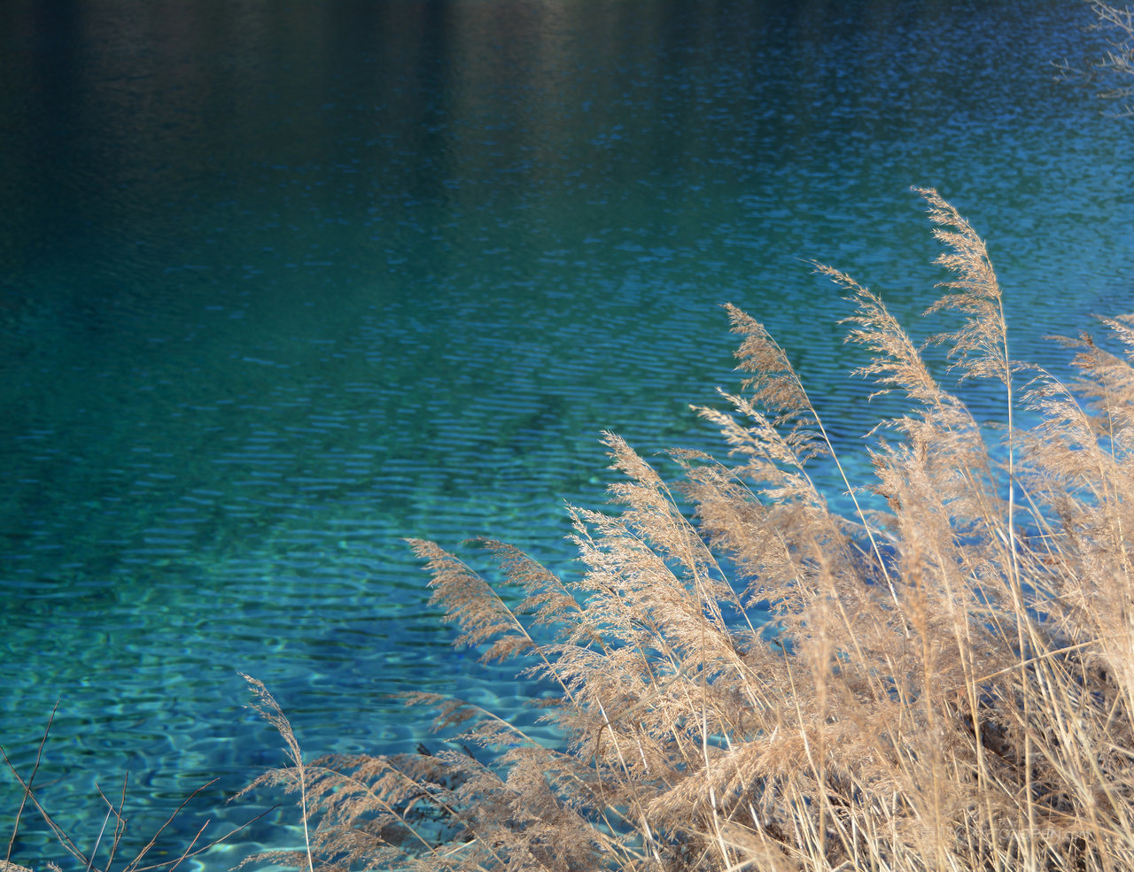 四川九寨沟高清风景画图片