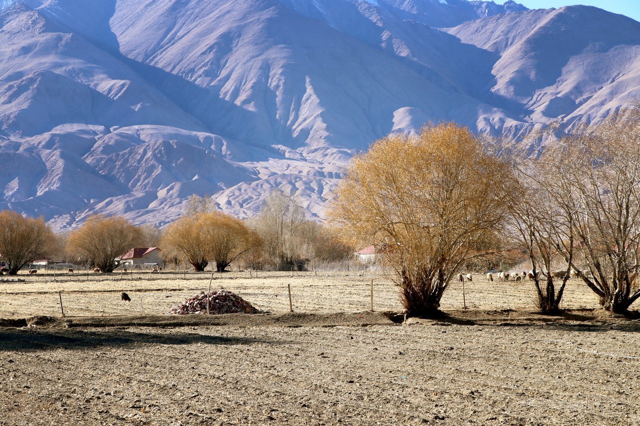 喀什风景画图片