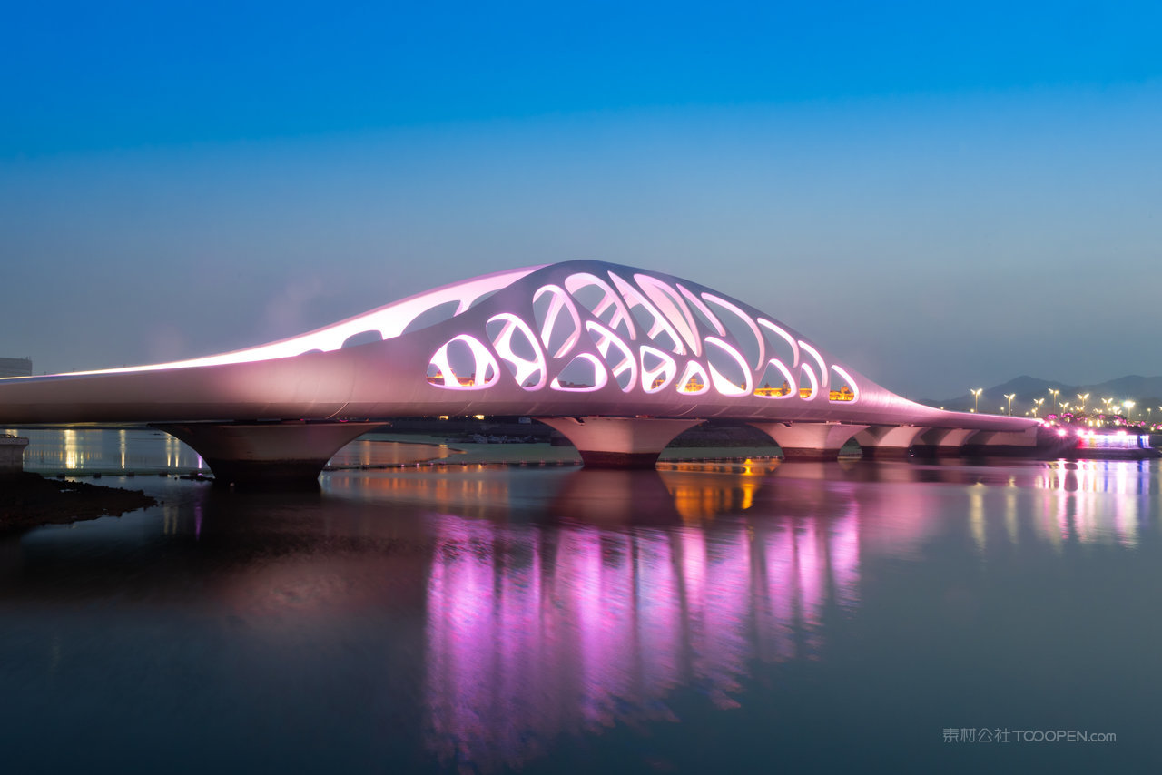 青岛珊瑚贝桥夜景