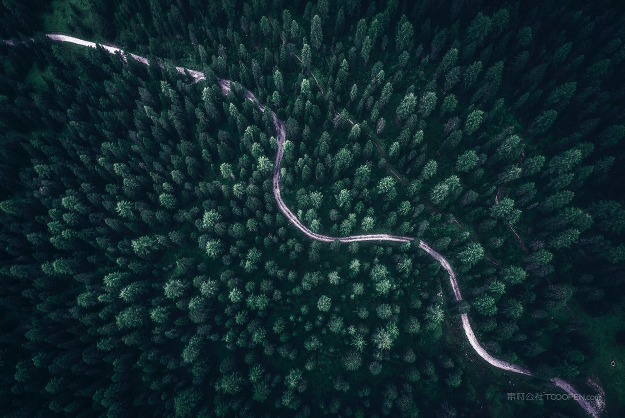 盐城保护区水上森林