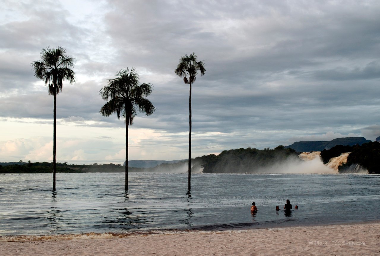 棕榈树矗立在水面上
