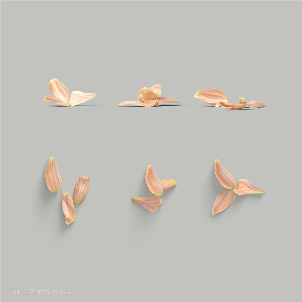 鲜花花瓣绿植鲜花样机素材