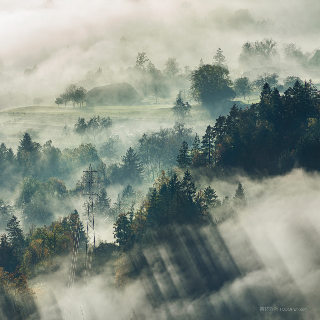 薄雾森林风景画图片