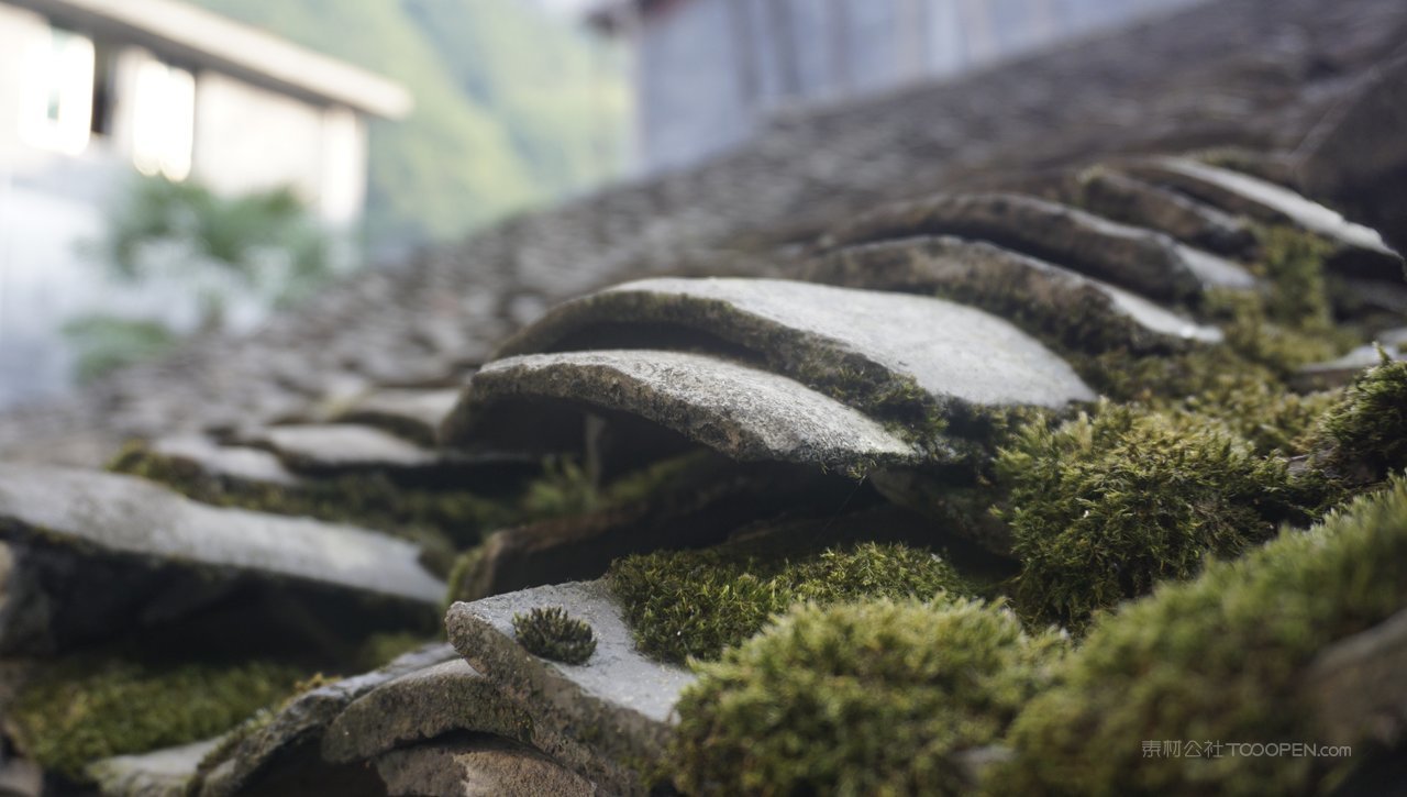 苔藓瓦房风景画图片