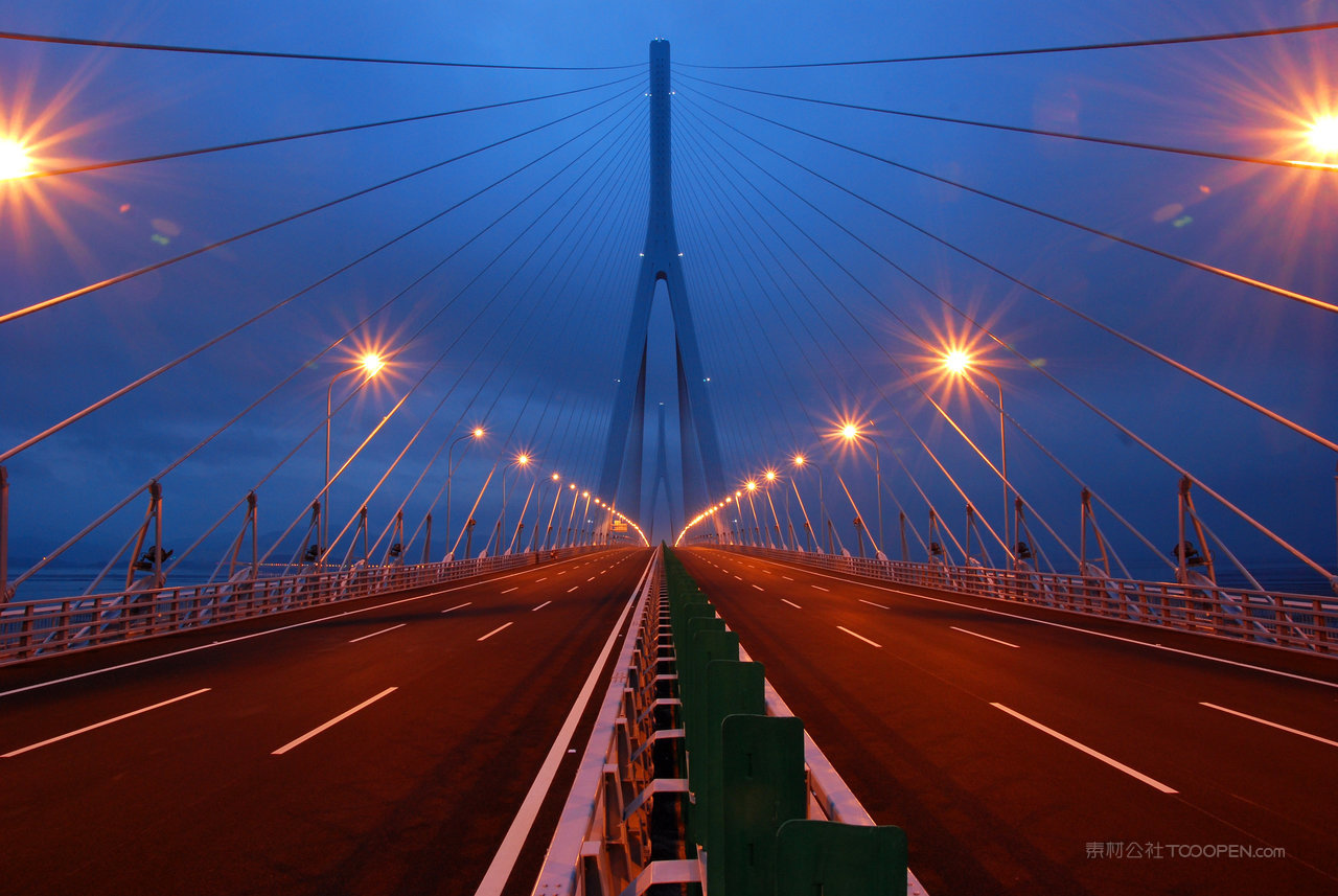 夜色中的厦漳大桥