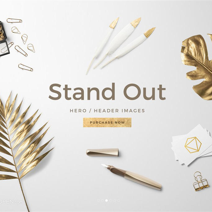 简约品牌样机素材