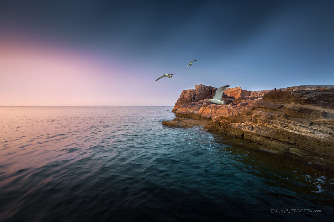 飞翔的海鸥风景画图片