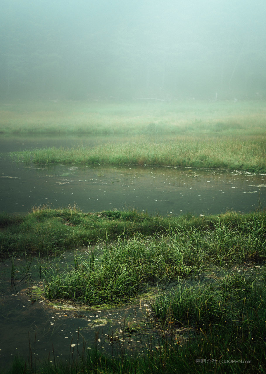 湖畔草地风景画图片