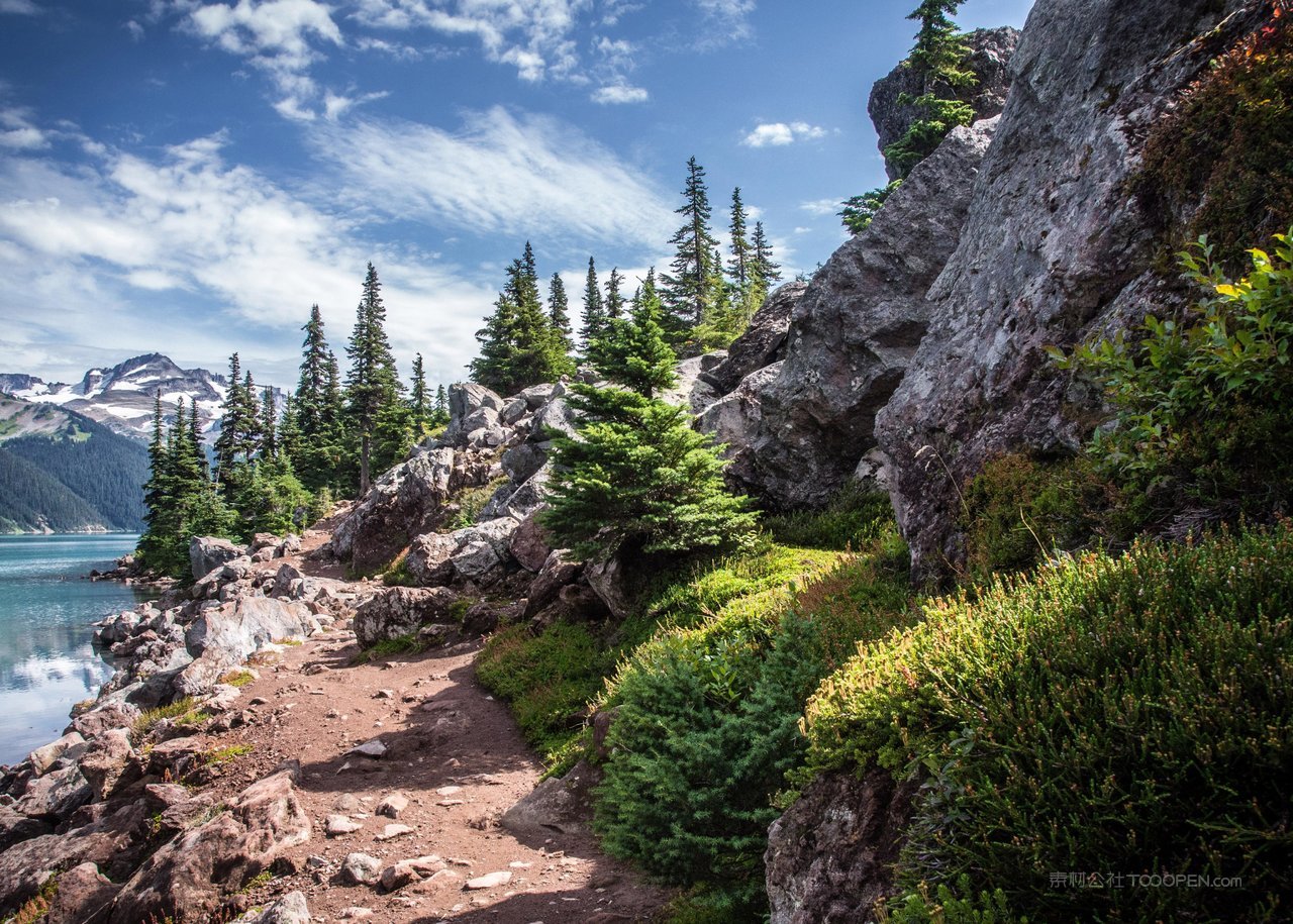 松树山崖高清风景画图片
