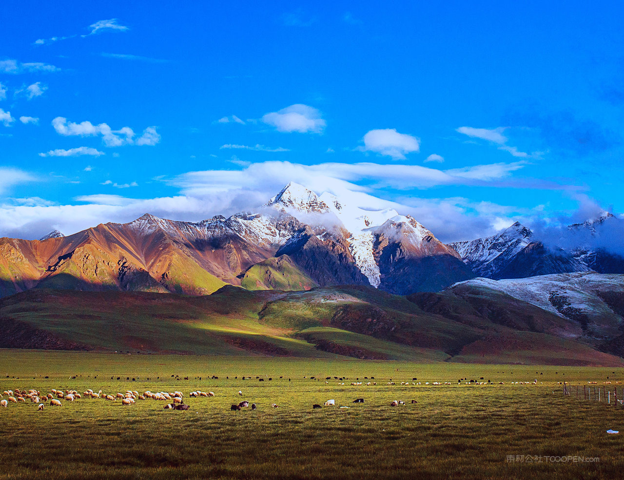 西藏羊八井风景画