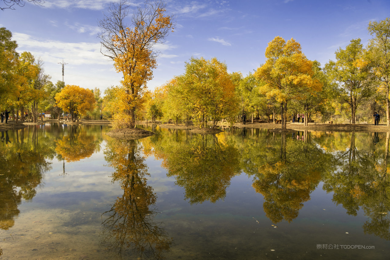 中国内蒙古胡杨