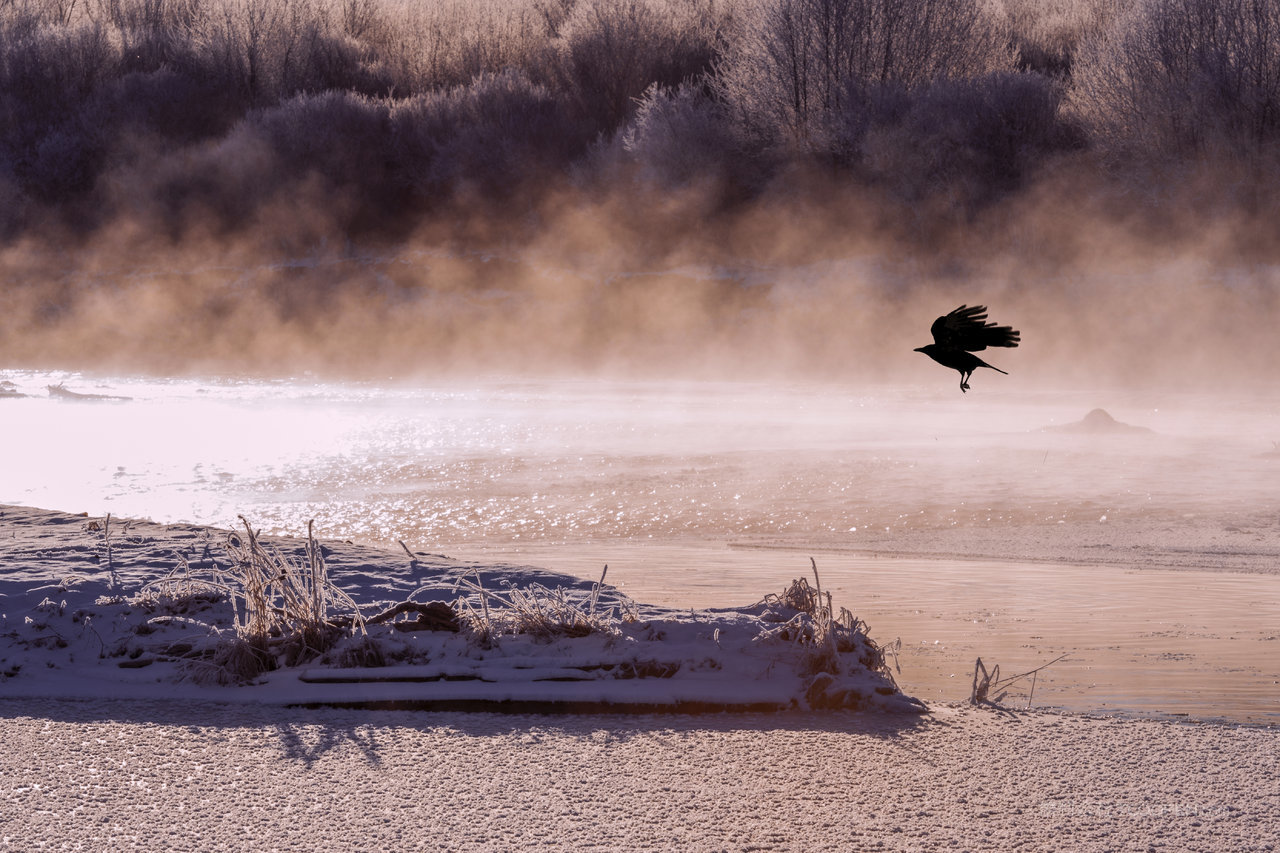 呼伦贝尔根河风光
