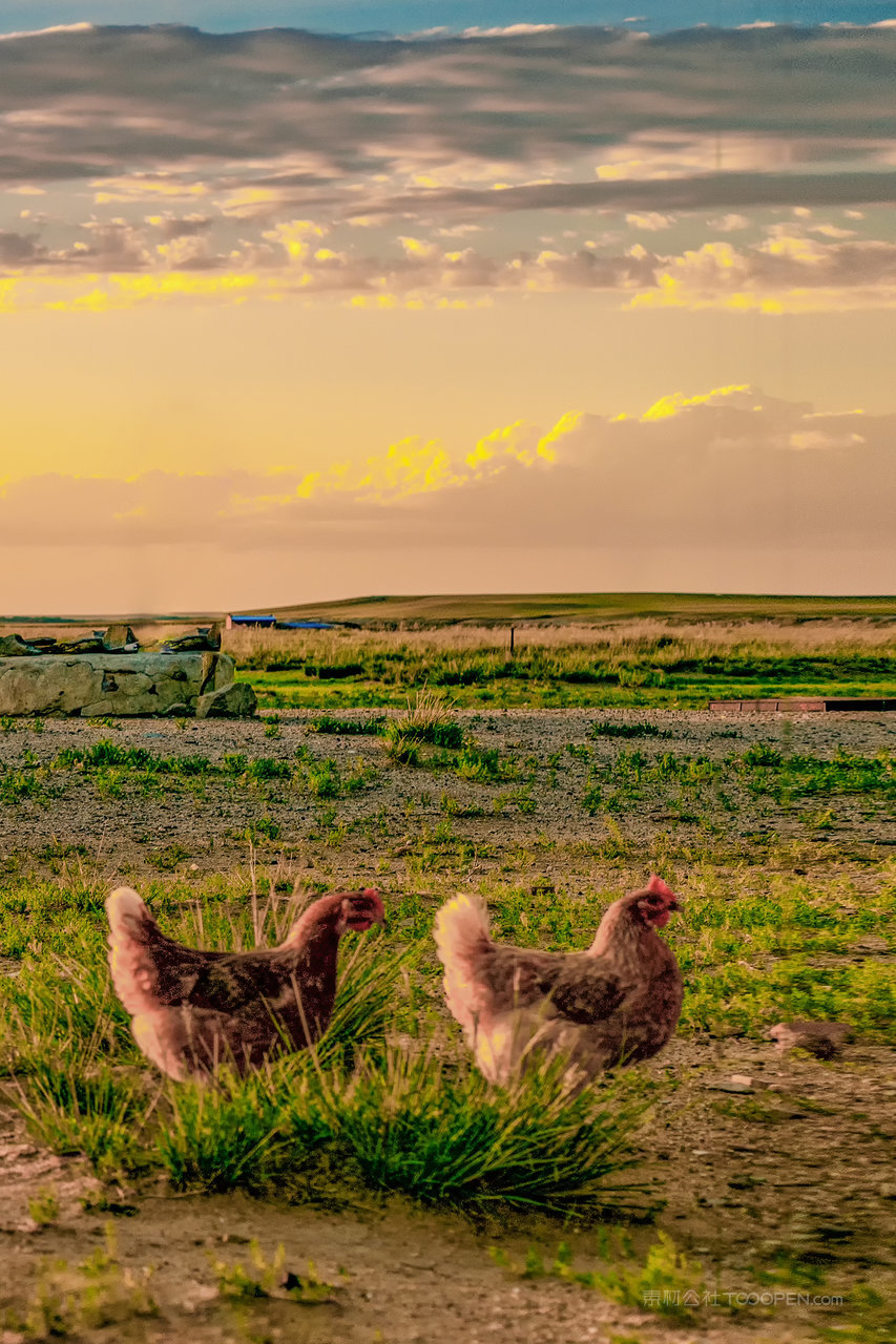 内蒙古四子王旗草原落日景观