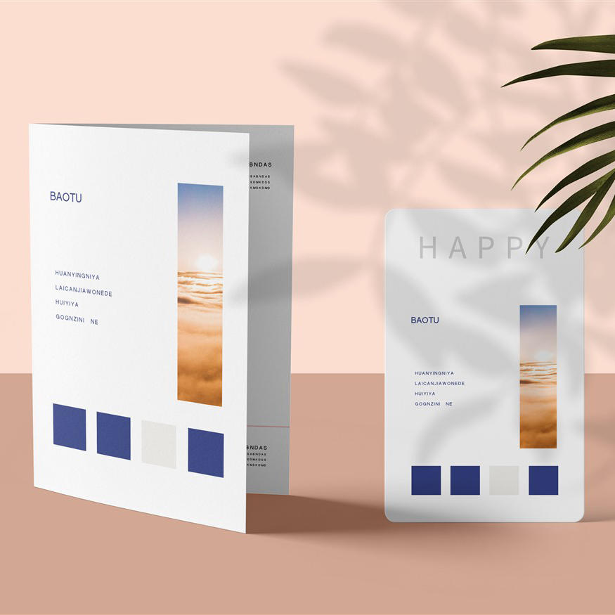 粉嫩清新竖立的画册卡片样机样机