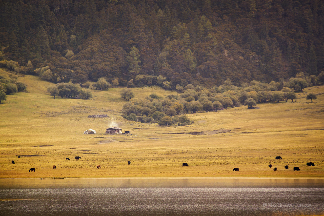 云南香格里拉普达措国家公园