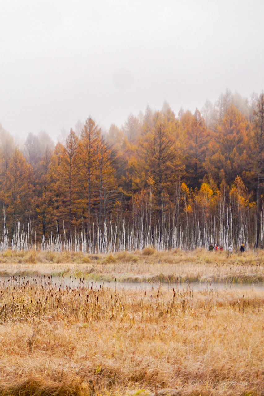 乌苏浪子湖秋景晨雾