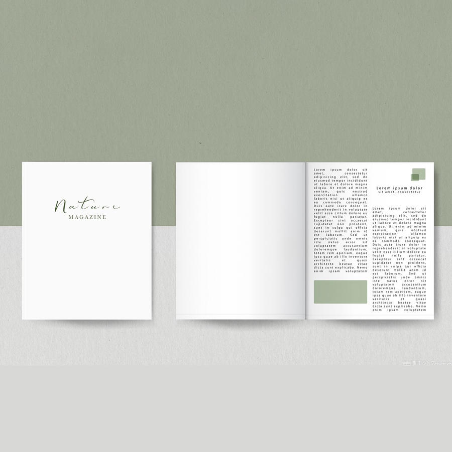 杂志样机模板