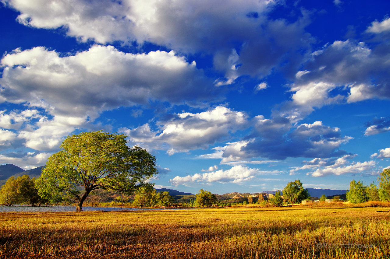 丽江拉市海风景画