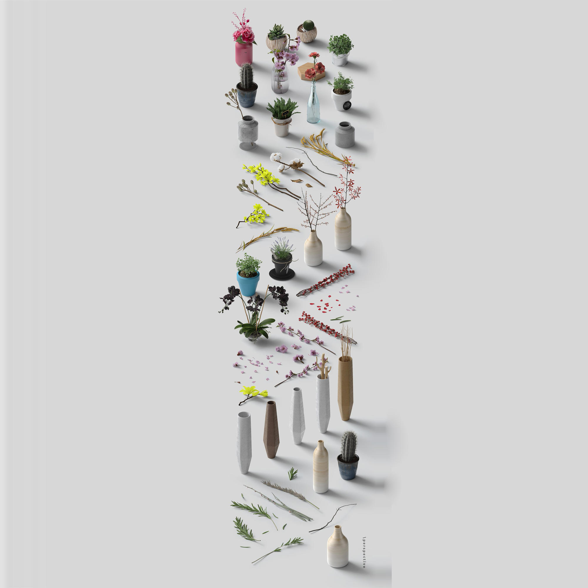 各种植物多肉摆件样机