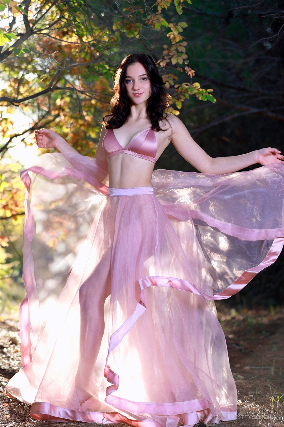 翩翩起舞的欧美人体艺术极品美女图片