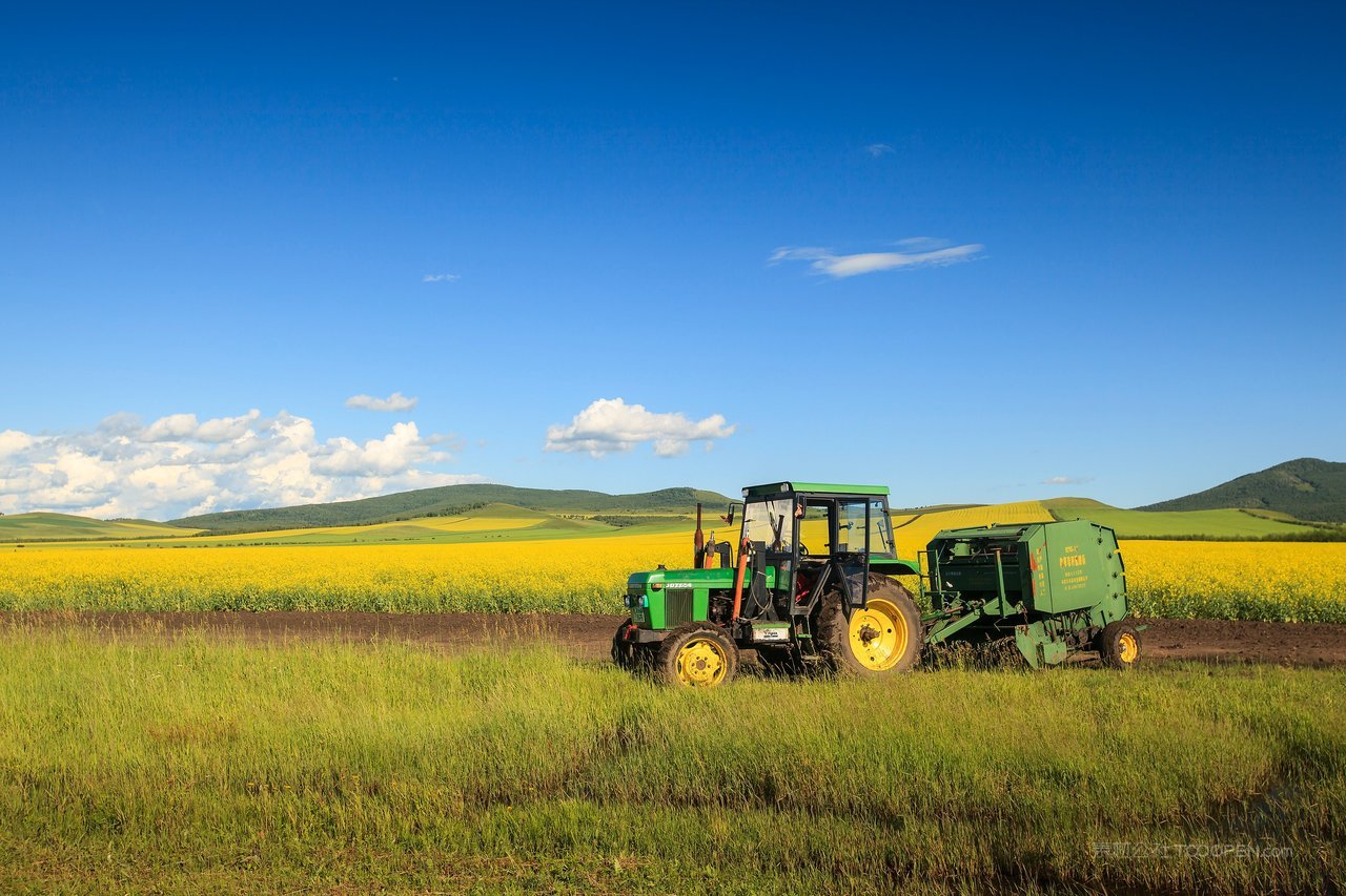 呼伦贝尔草原风光 (5)