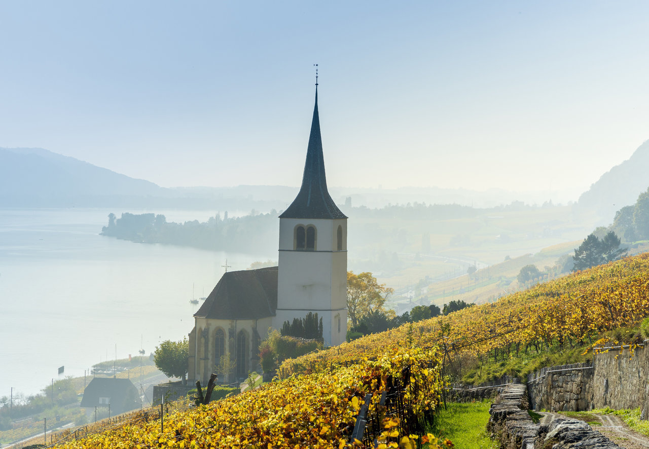 高清瑞士山脉山林山水画