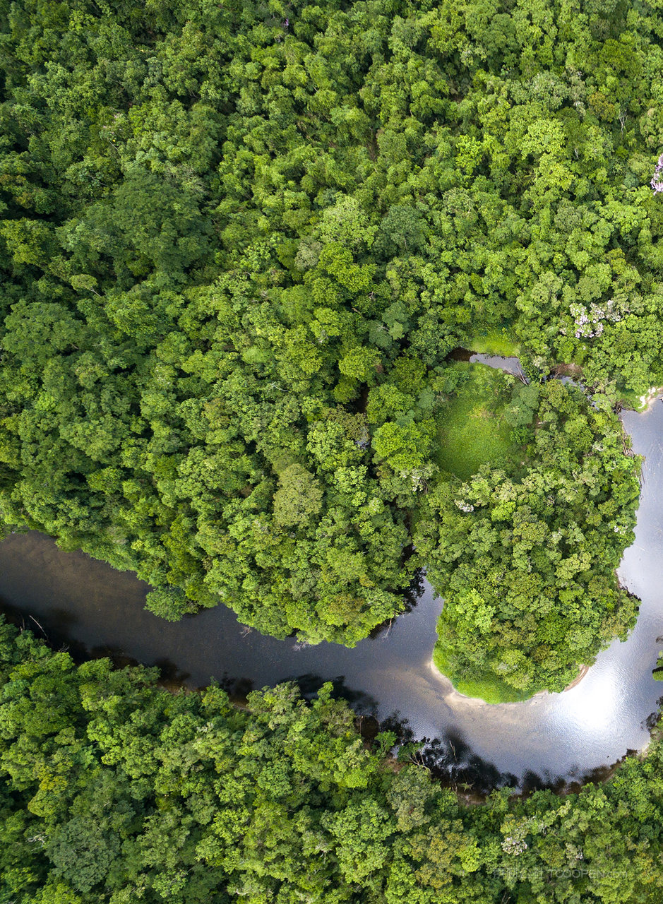 河在雨林中高清图片