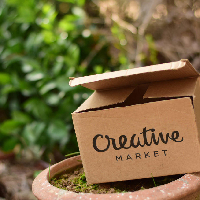 牛皮纸纸箱样机