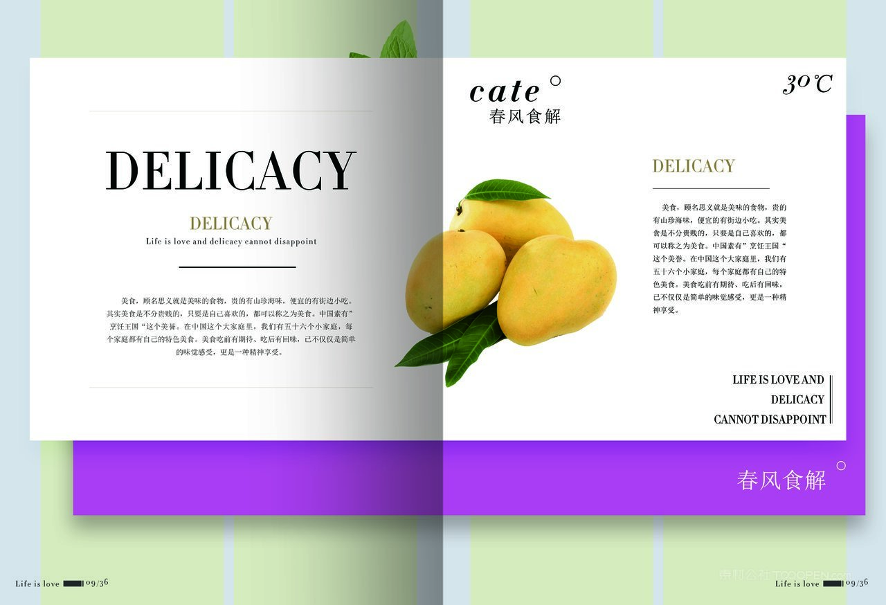 01日系食品杂志画册 (3)