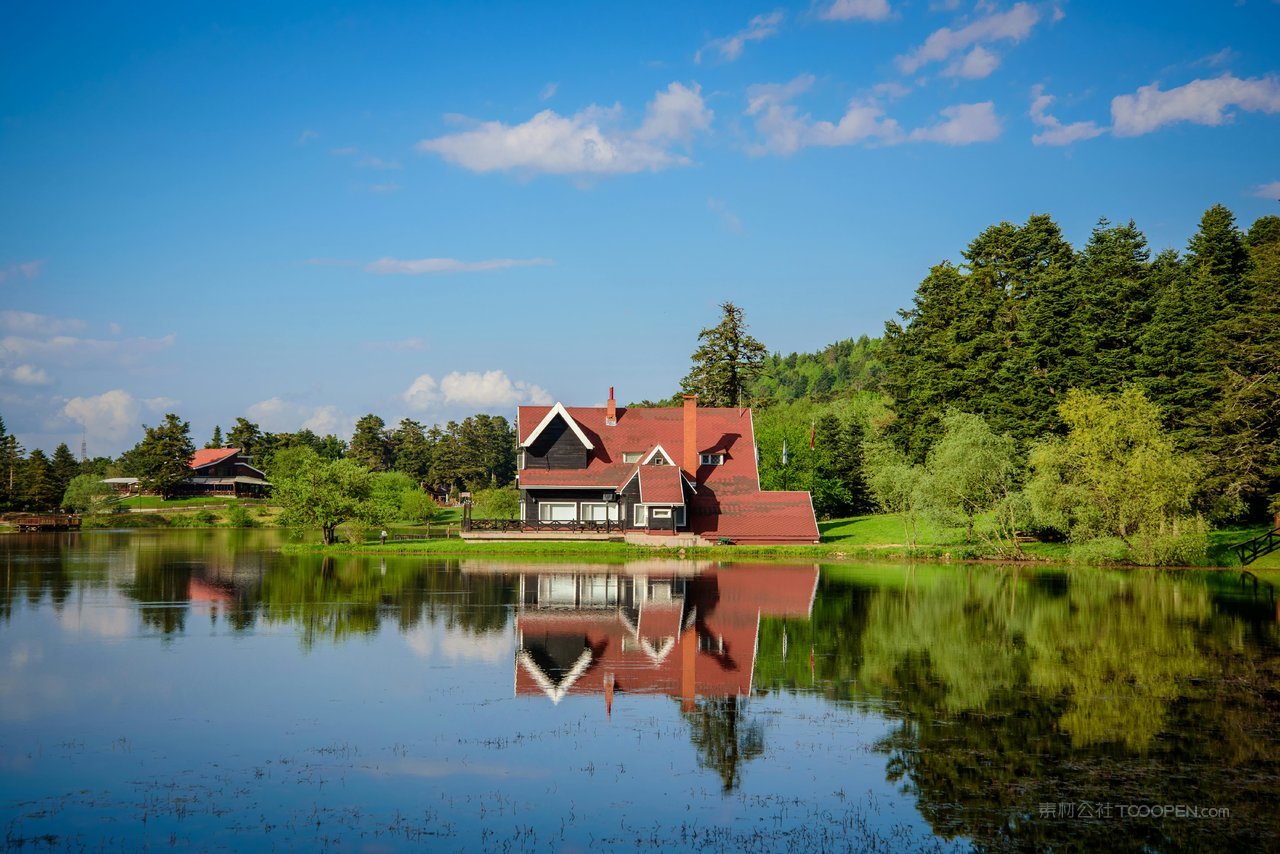 高清树林湖水风景