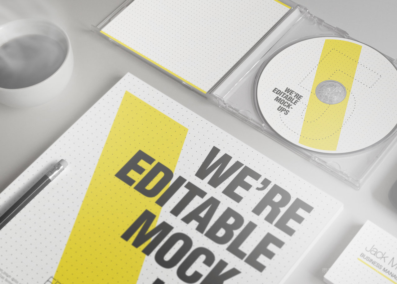 高档精致CD办公用品品牌vi贴图