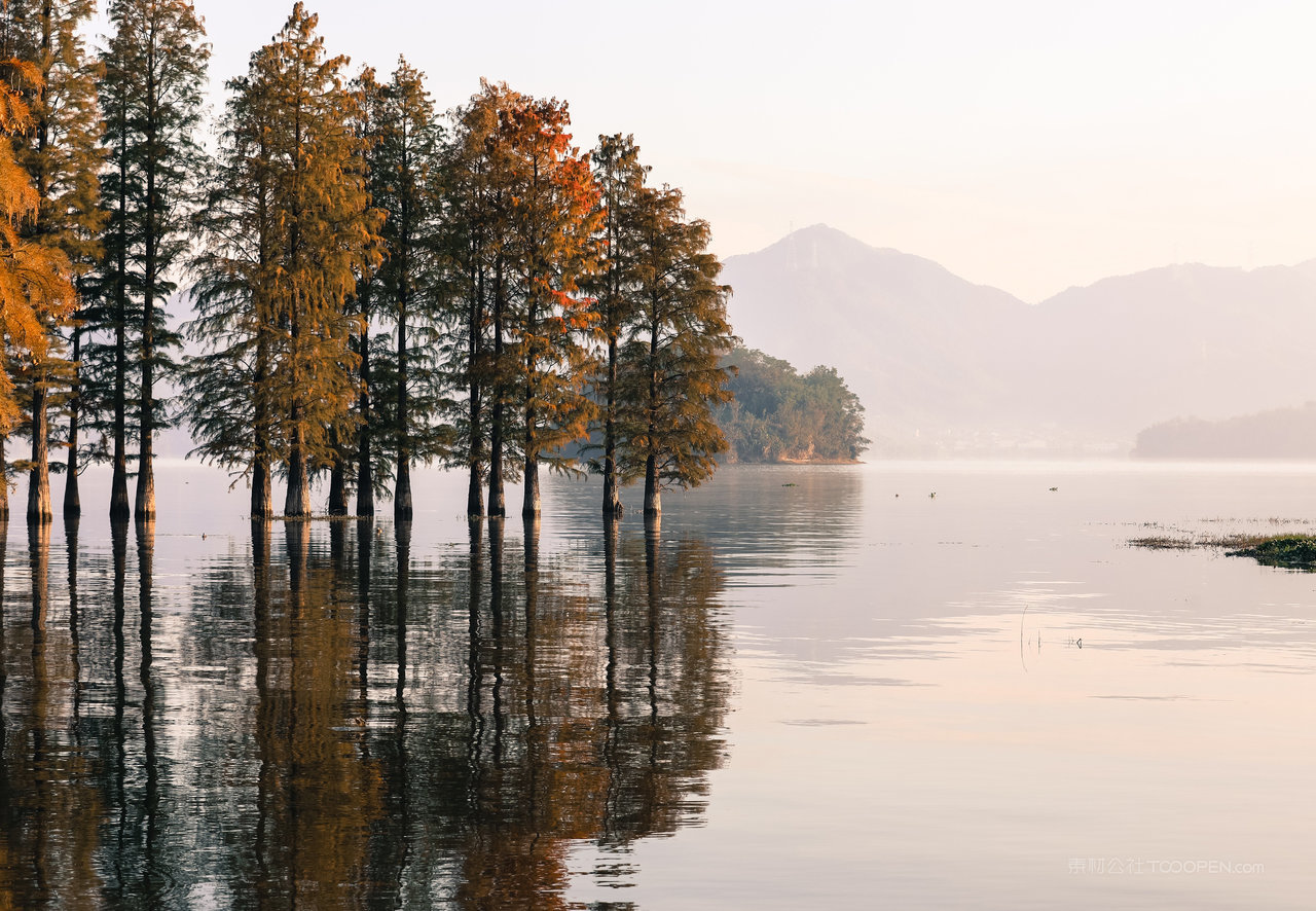 瑞士山脉山林图片