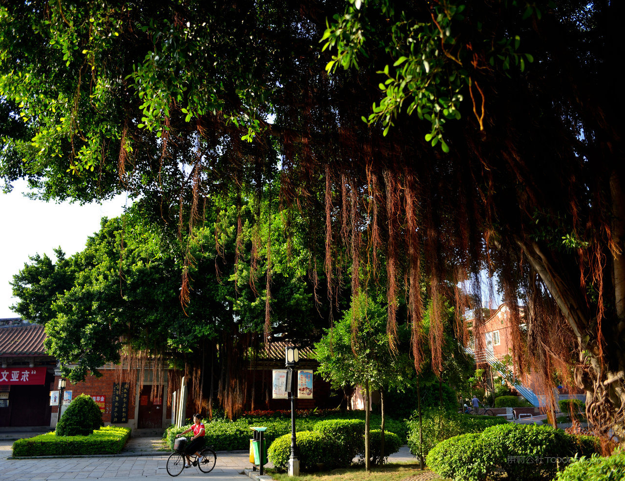 泉州市文庙风景画图片