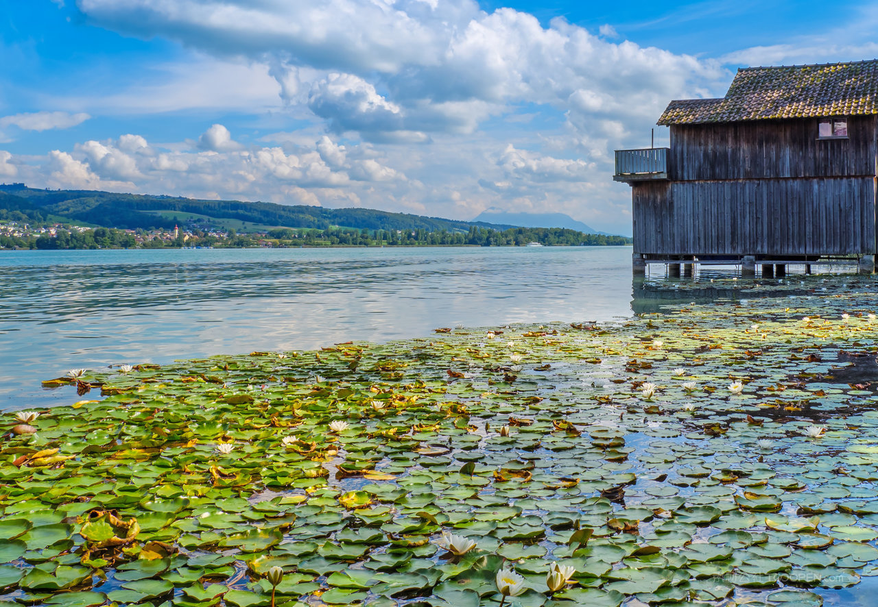 瑞士山脉山林图片