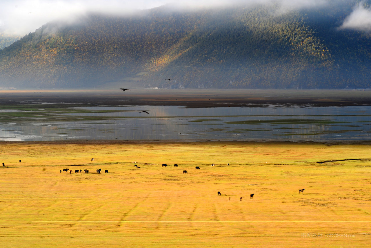 香格里拉纳帕海