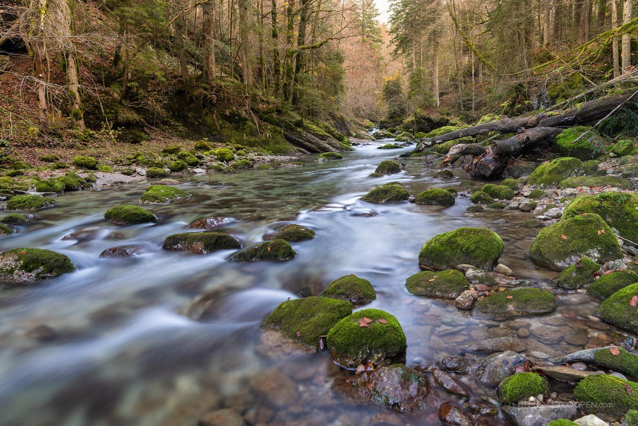 河流溪流苔藓风景画图片