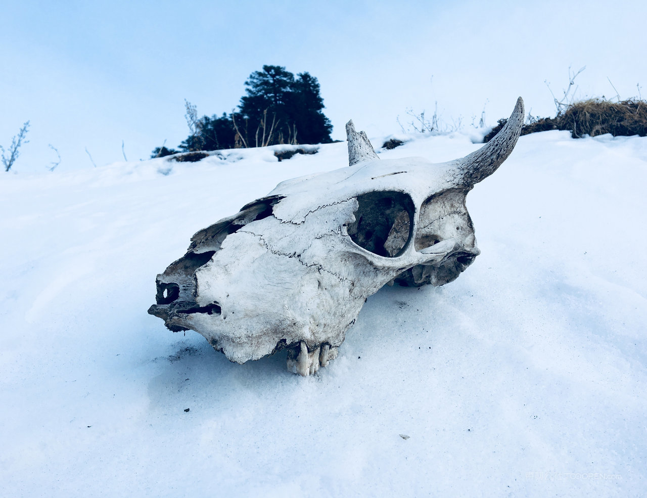 高清雪山山脉风景画