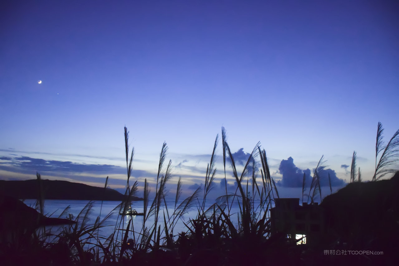 高清芦苇丛风景画