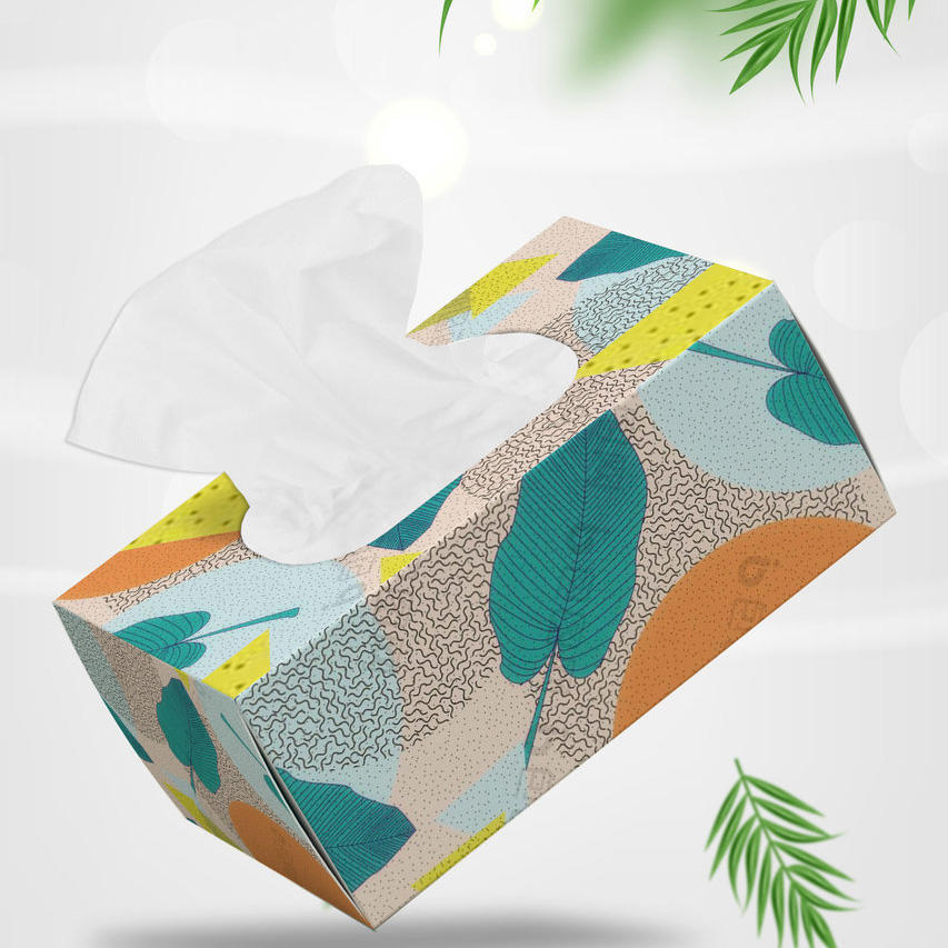 小清新品牌设计vi手册应用纸巾盒样机