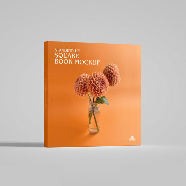 站立方形书样机