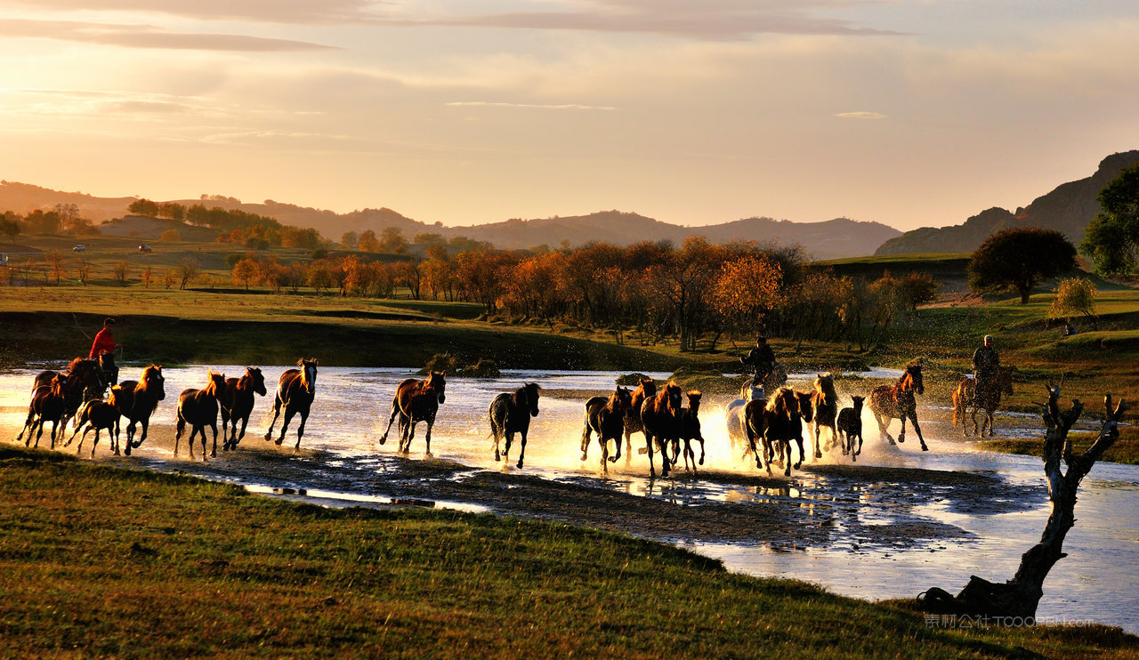 坝上风光风景画图片