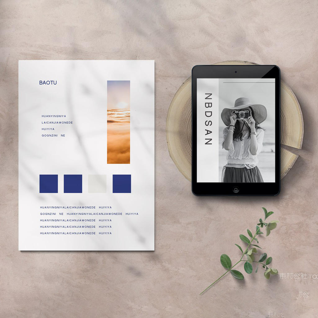 时尚精致树叶光影下得ipad纸张样机